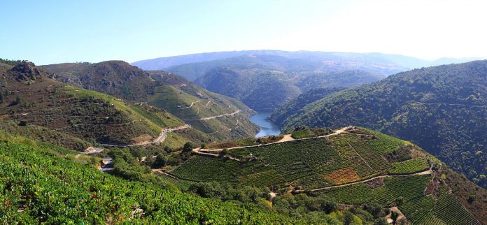 ribeira sacra, foto de ramón piñeiro