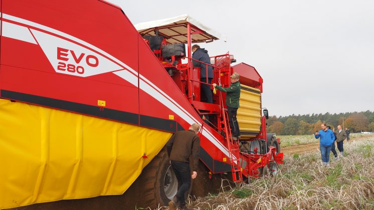Grimmie Meléndez X Origen patatas Alemania Europlant