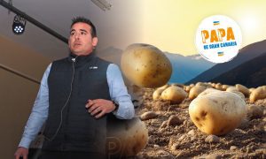 patata