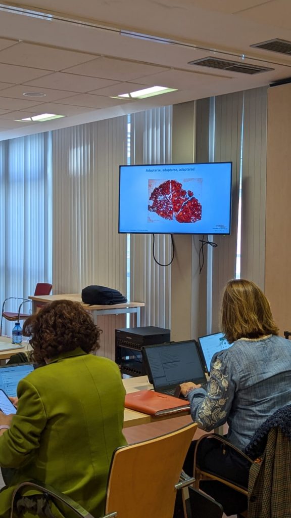 Curso Superior Vino