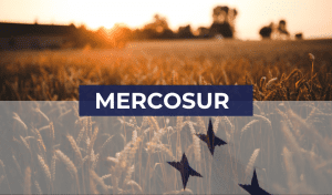 lonjas y mercosur