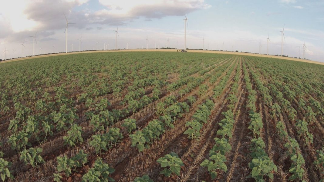 suelo agricola