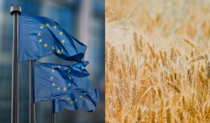 comision europea vision agricultura