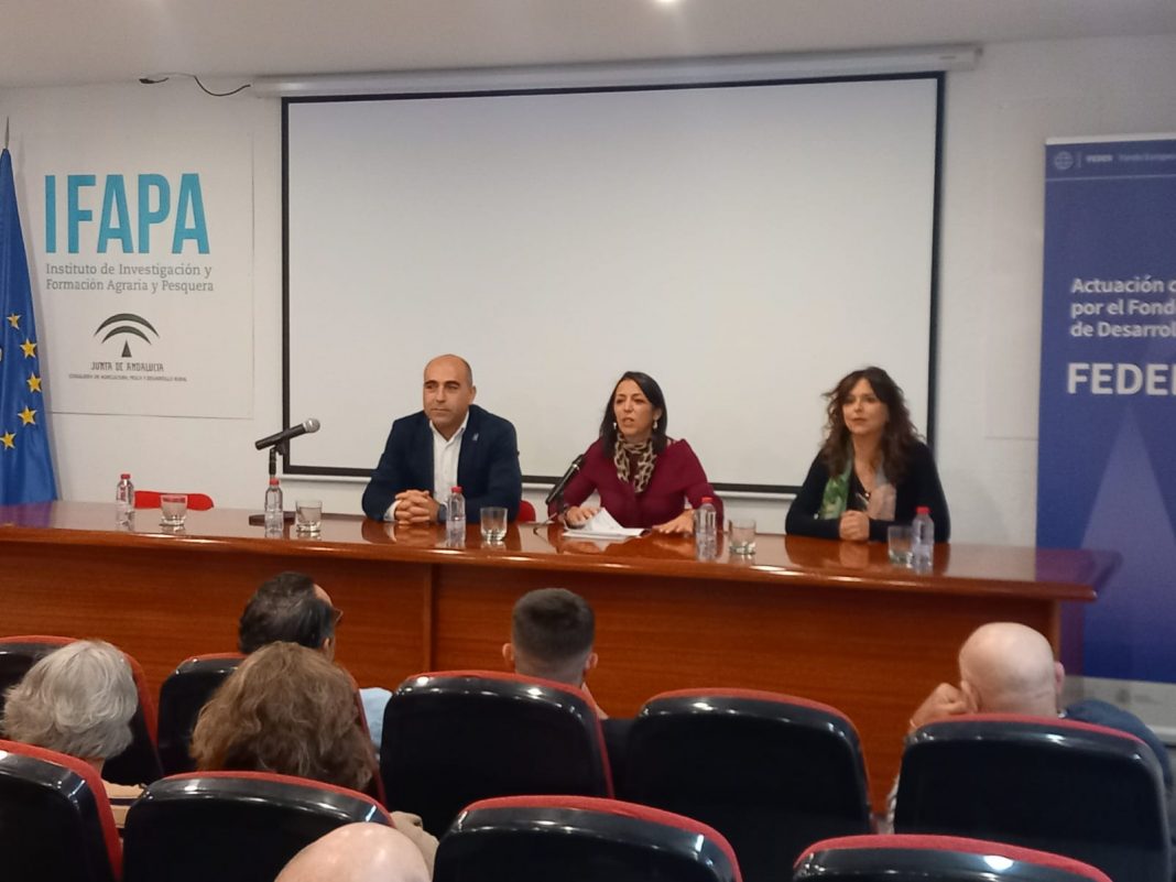 Ifapa, suelos