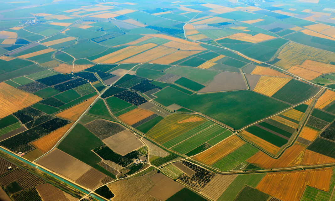 disminucion superficie agraria