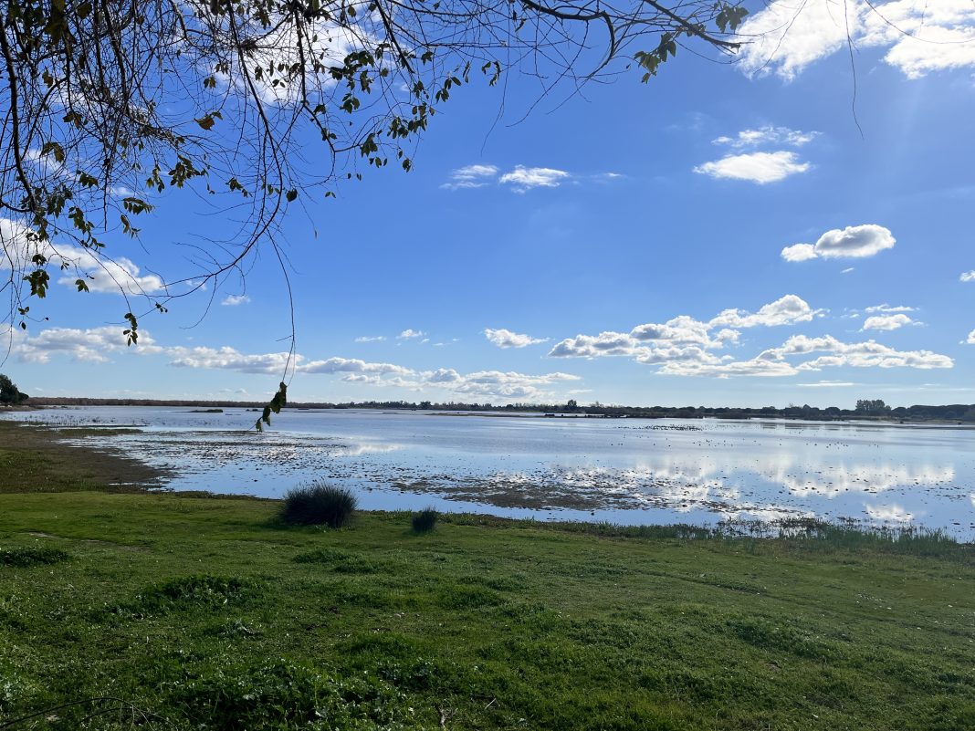 Doñana