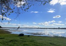 Doñana