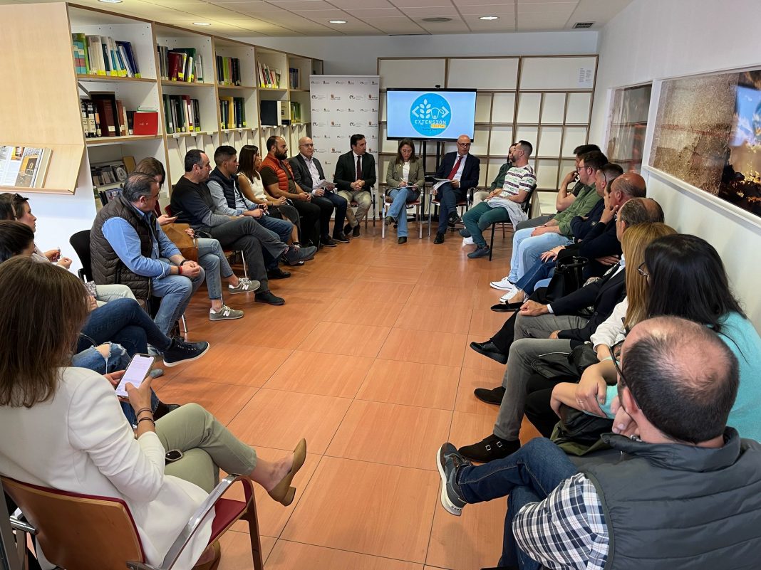 presentación