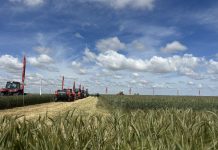 demoagro cereal
