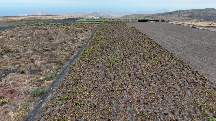 Lanzarote