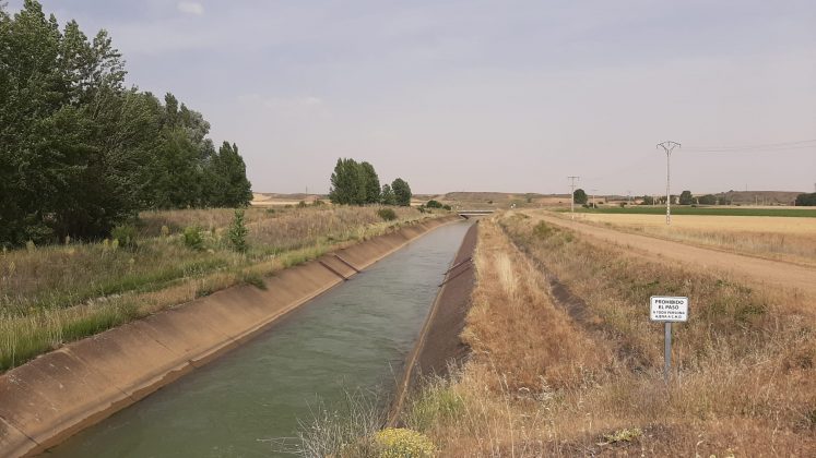 canal de riego CHD