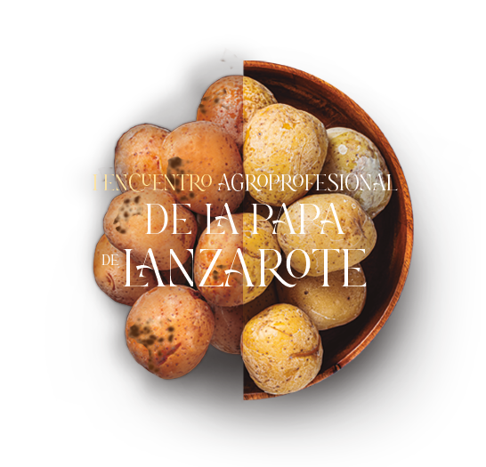 patatas-letras