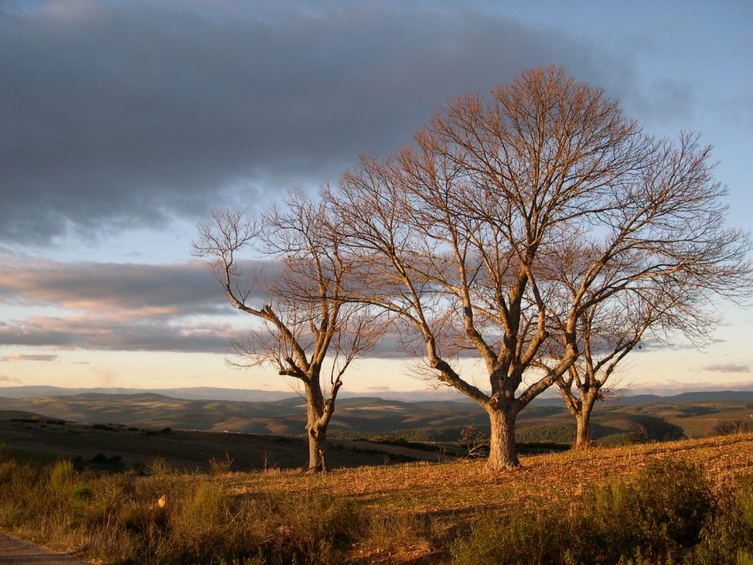 Aliste zamora paisaje otoño invirno atardecer
