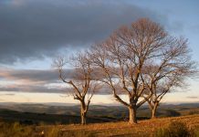 Aliste zamora paisaje otoño invirno atardecer