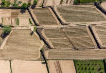 paisaje parcelas pac