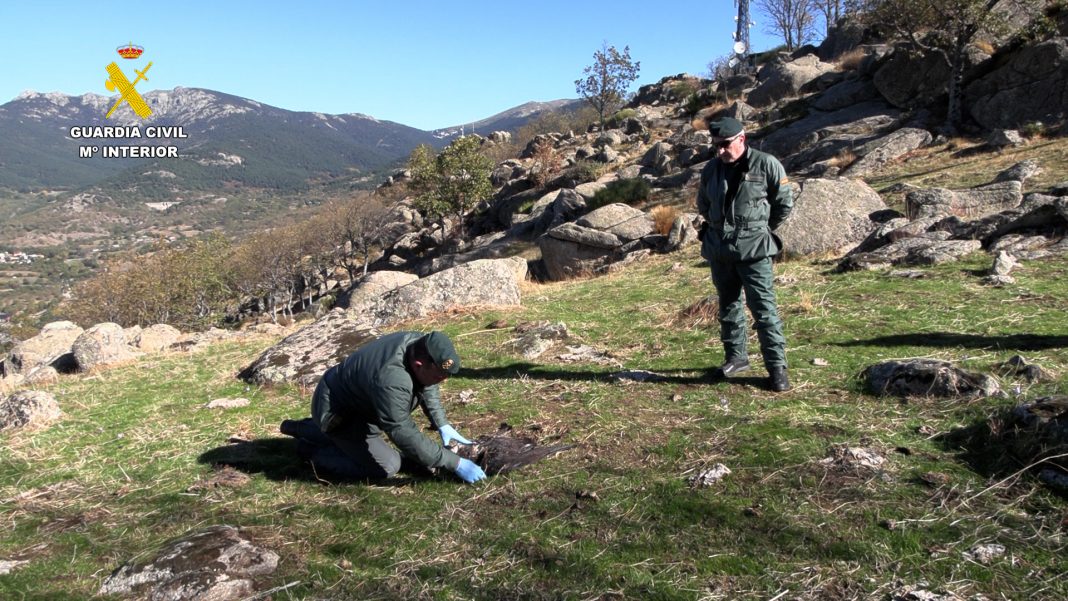 op_atrax_seprona_editada_foto_03