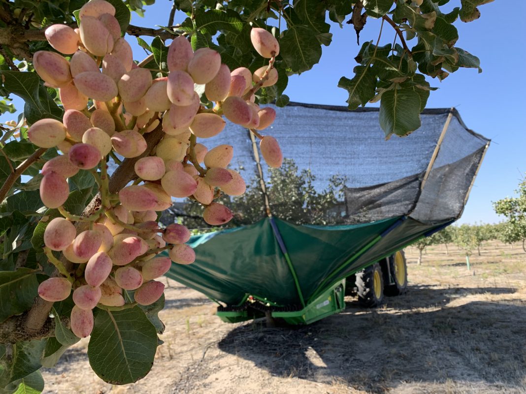 pistacyl