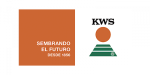 kws-logo-revista-campo