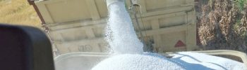 fertilizantes abono