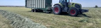 cosecha alfalfa