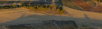 fincas rústicas