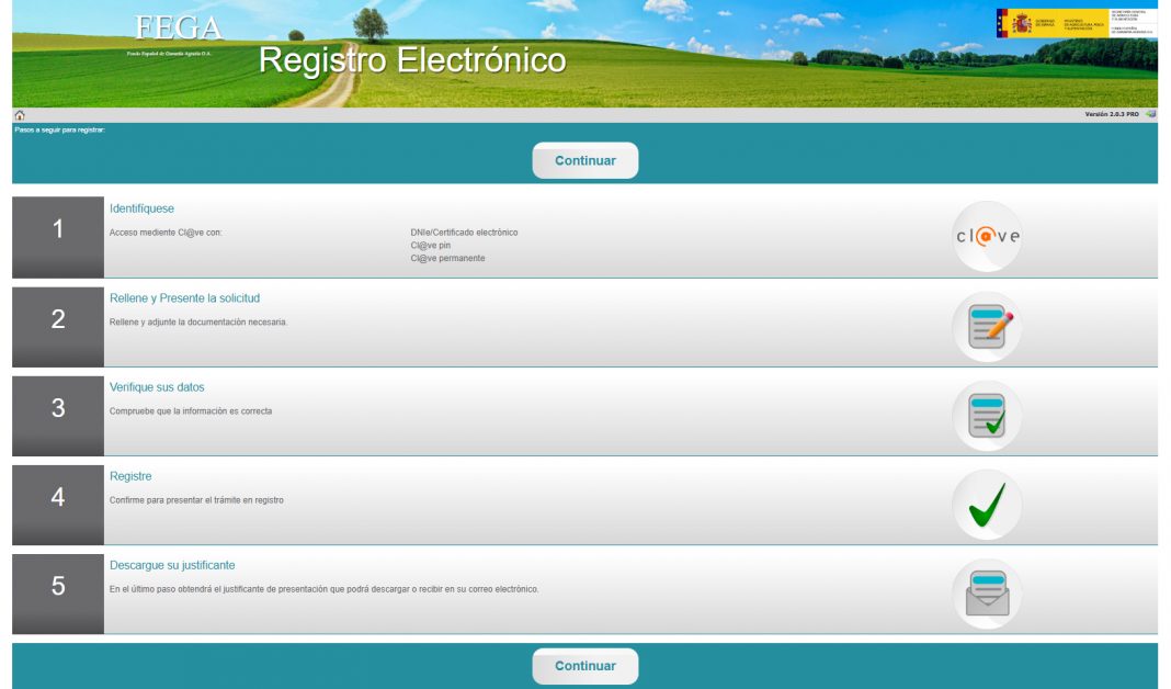 solicitud ayuda FEGA