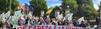 manifestación