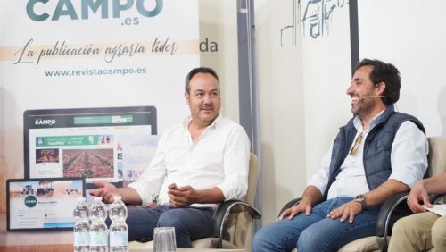 encuentro-rinconada-2025-19