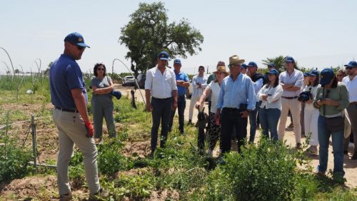 encuentro-rinconada-2025-22