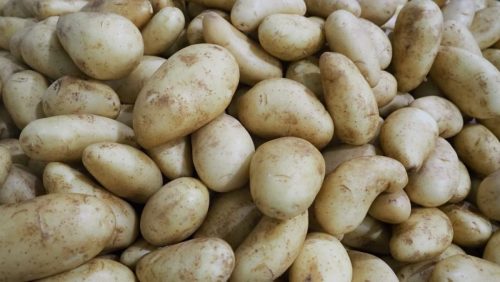 encuentro-rinconada-2025-8