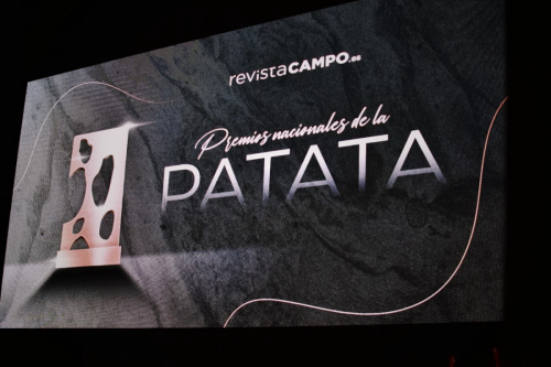 Premios-patata-2025-2