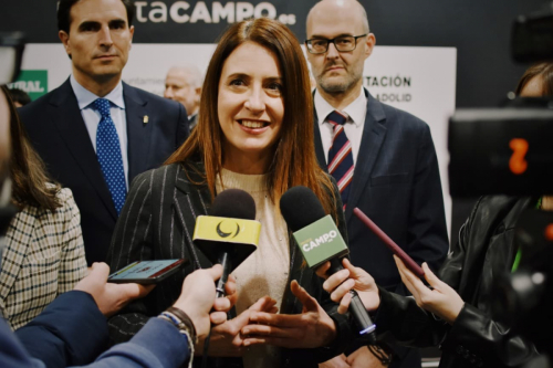 Premios-patata-2025-20