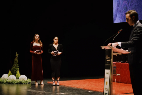 Premios-patata-2025-36