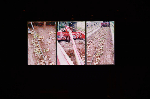 Premios-patata-2025-47