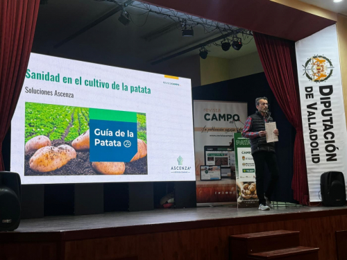 congreso-patata-2025-16