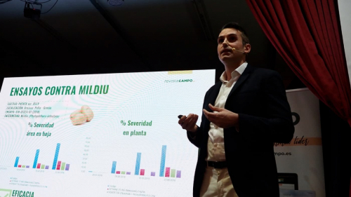 congreso-patata-2025-20