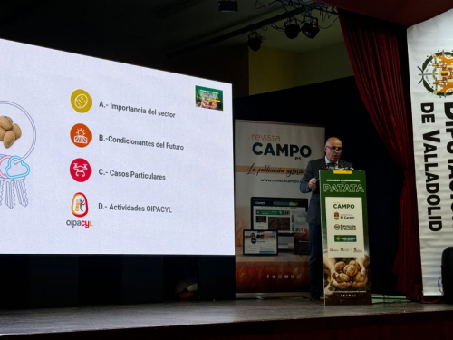 congreso-patata-2025-24