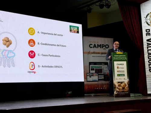 congreso-patata-2025-25