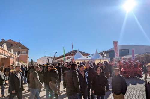 congreso-patata-2025-4