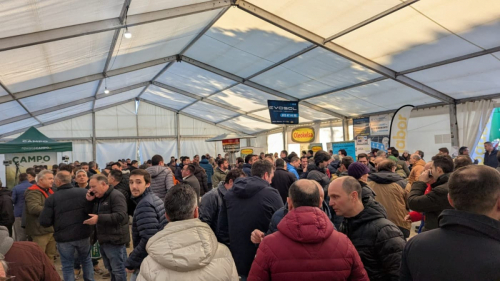 congreso-patata-2025-47