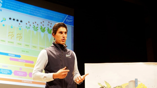 jornada-remolacha-medina-25