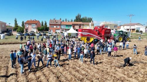 cosecha-campo-ensayo-1