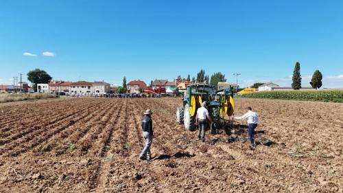 cosecha-campo-ensayo-2