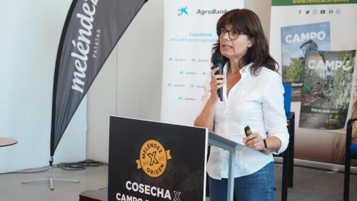 cosecha-campo-ensayo-27