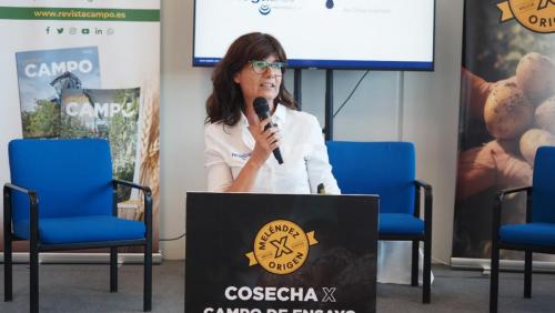 cosecha-campo-ensayo-28