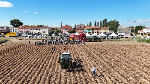 cosecha-campo-ensayo-3