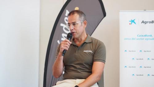 cosecha-campo-ensayo-55