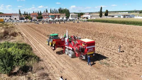 cosecha-campo-ensayo-6