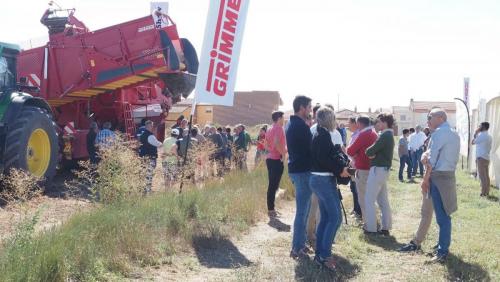 cosecha-campo-ensayo-68