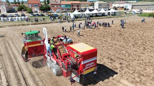 cosecha-campo-ensayo-7
